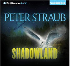 Peter Straub Digital Audio Book Collection Unabridged  20 Different Audiobooks