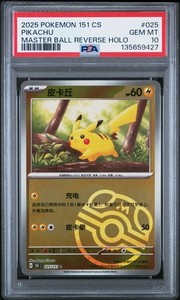 Master Ball Pikachu | eBay