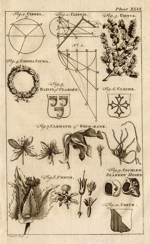 Impresión antigua - CORONA CÍVICA - ASTERACEAE - CARACOL - Compra - 1770
