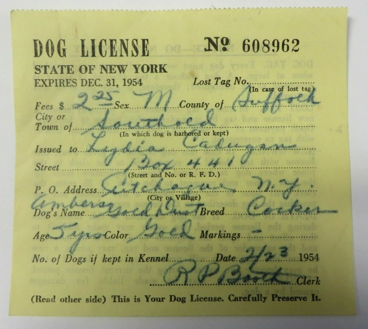 Can I Register My Dog Without Papers