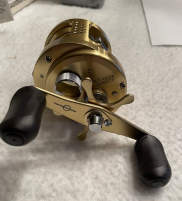Shimano Calcutta TE 200GT Saltwater Reel. MINT CONDITION! | eBay