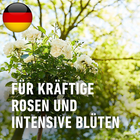 Bild 7 von 9