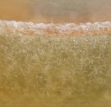 Vinegar Eel Very Dense starter Easy Live Food For fry. Easy Storage Container.