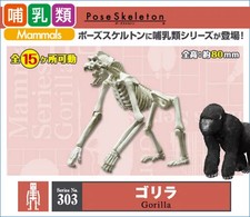 Trading Figure Pose Scheletro Mammifero Serie Gorilla Altamente Dettagliato Poseable