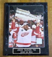  Johan Franzen #93 Detroit Red Wings Stanley Cup Plaque DC Soorts