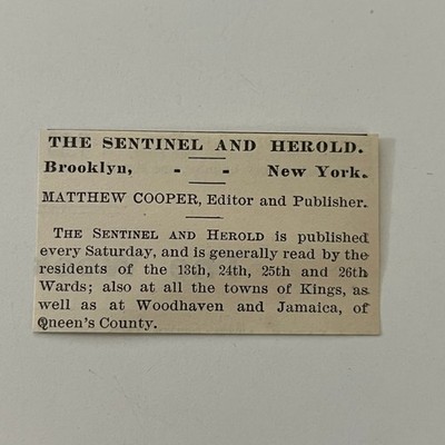 The Sentinel and Herold Matthew Cooper Brooklyn NY 1890 Newspaper Ad SAI9-S8