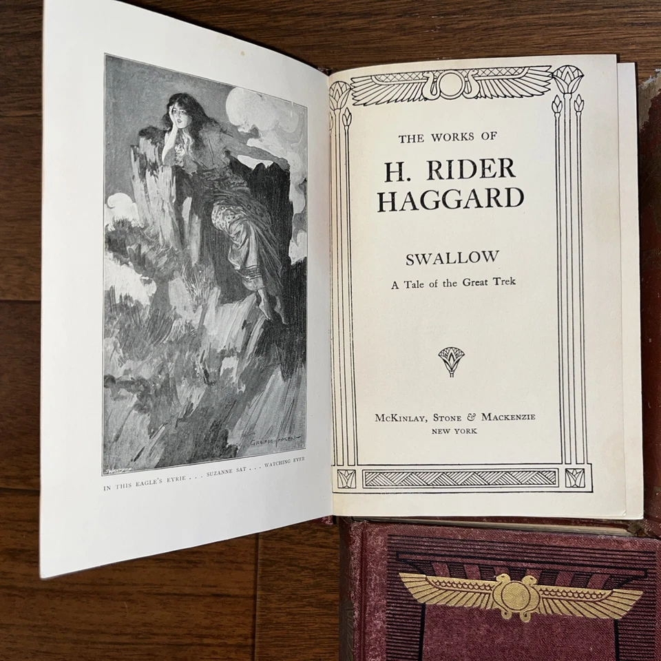 Complete Works of H. Rider Haggard 11 Books McKinlay Stone & Mackenzie 1899 Foto 3 de 4