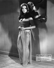ANN-MARGRET IN "THE SWINGER" PIN UP - 8X10 PUBLICITY PHOTO (BT-359)