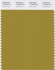 PANTONE 17-0840X Smart Color Swatch Card Amber Green