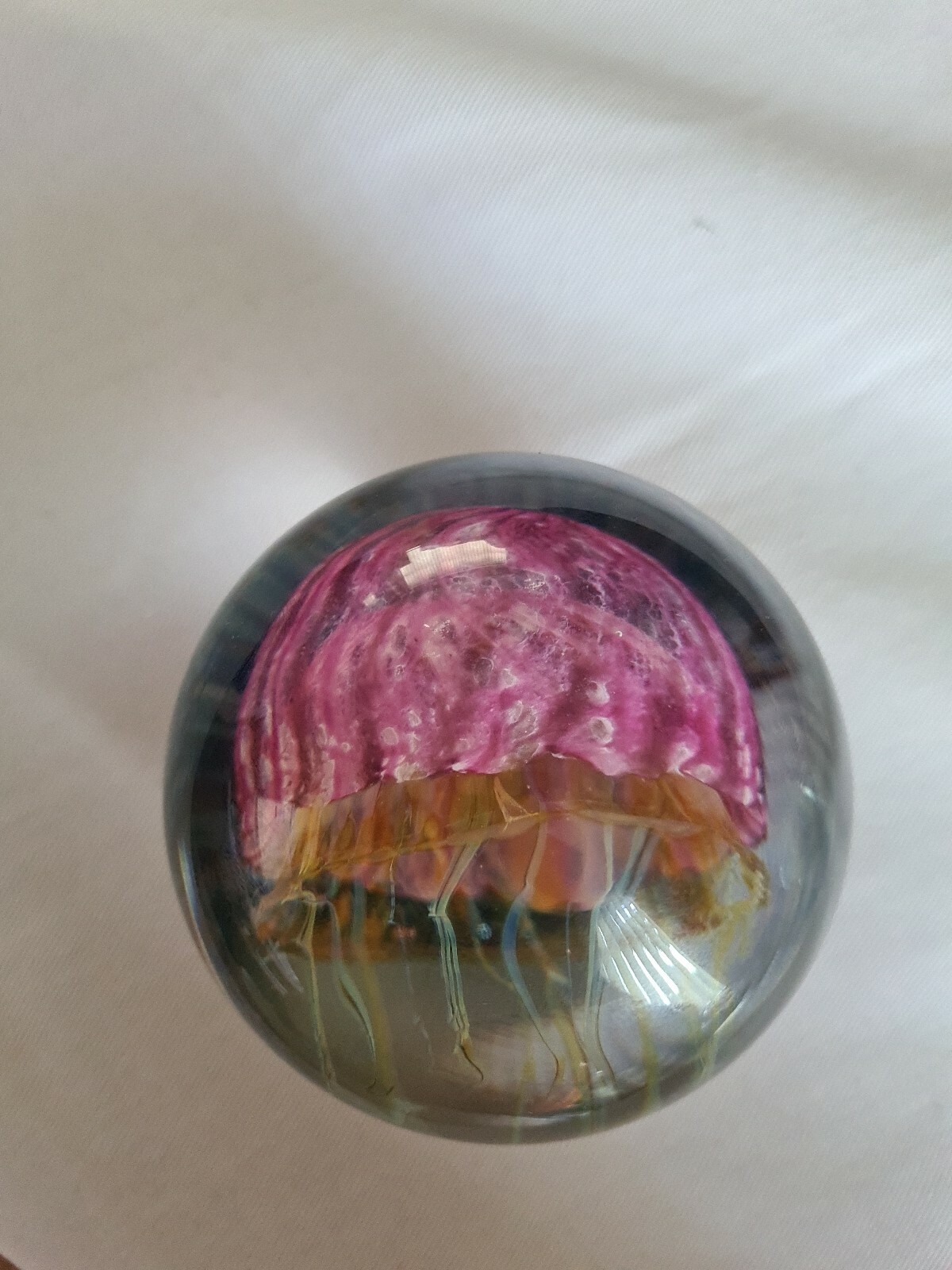 Picture 5 of 6