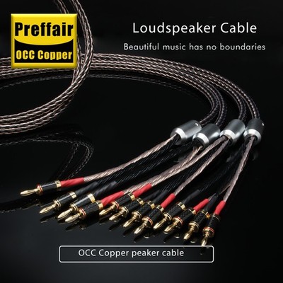 Banana OCC Copper HiFi Audio Bi-Wire Speaker Cable Banana Plug 24 Strands Wire
