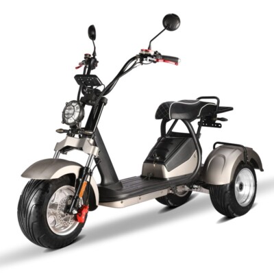 E-Scooter Coco Trike Bike bis zu 45 Km/H  60V 4000 Watt mit Straßenzulassung HM7