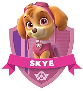 Image result for paw patrol skye