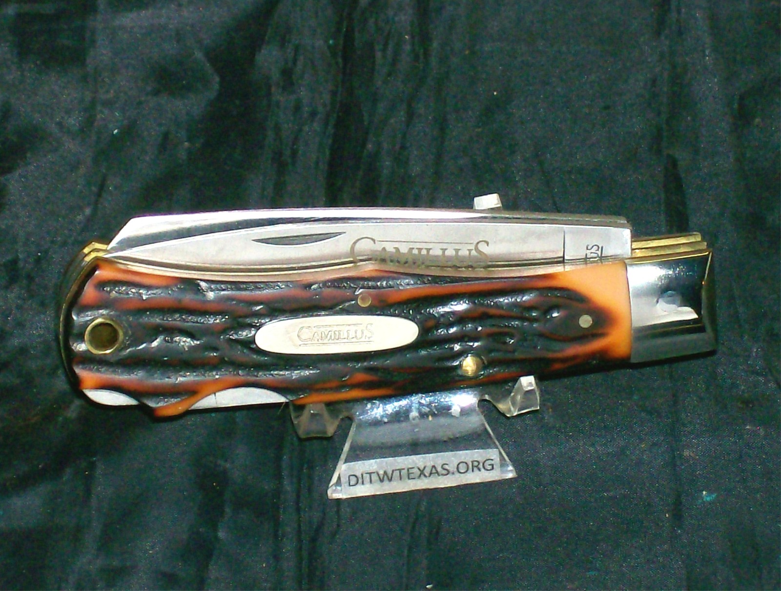 Picture 9 of 12