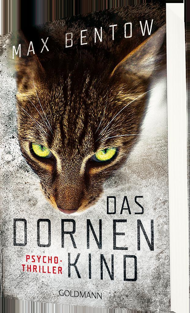 Thumbnail - Max Bentow Das Dornenkind