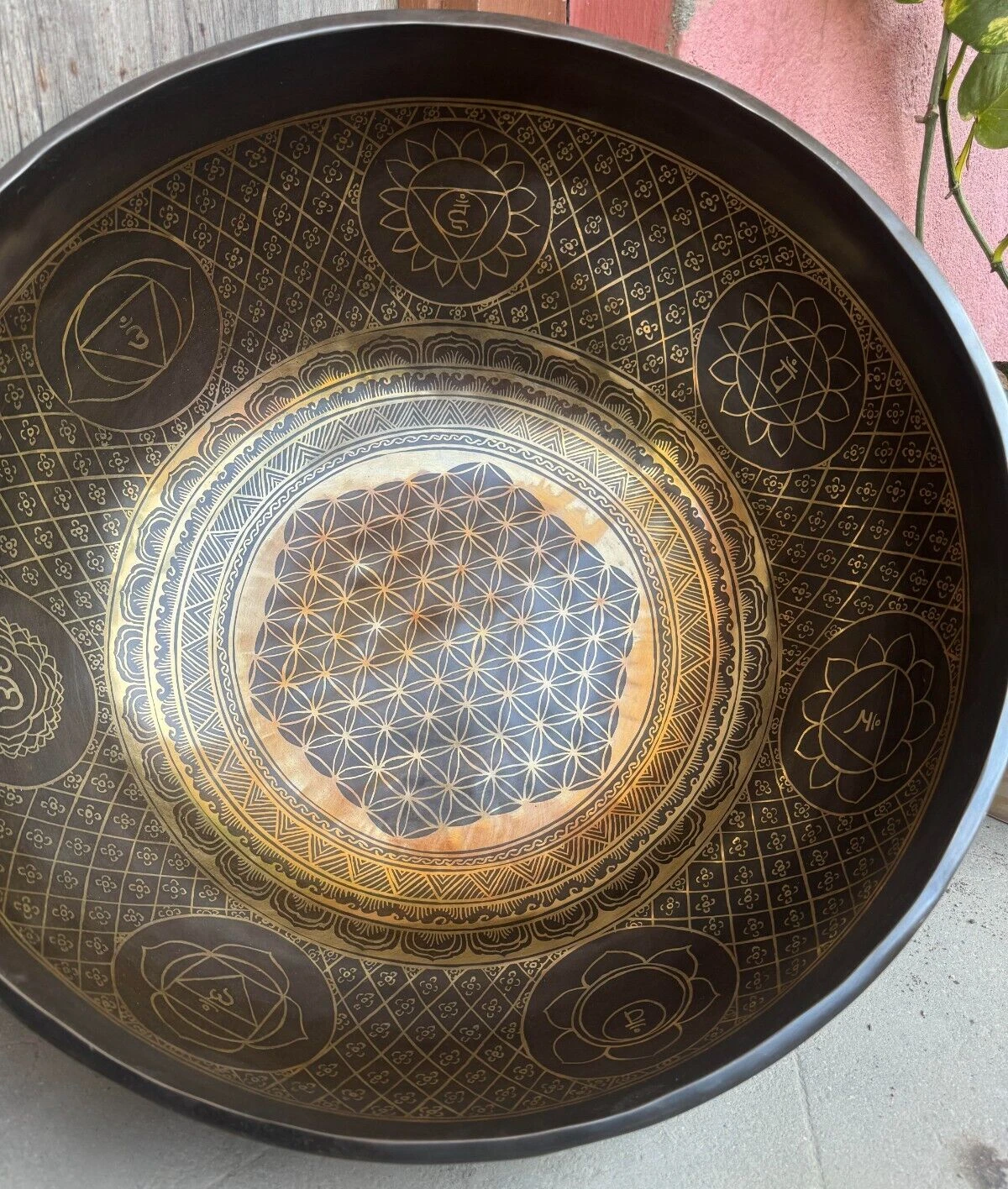 Picture 9 of 16