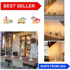 Elegant Mini Birch Tree Lights - 2FT Decorative USB/Battery Operated Set of 4