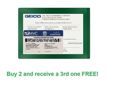 Green Car Insurance Registration Document Holder -  1 Pack