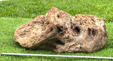 Large Natural Burl Driftwood for Fish Reptile Aquariums, Crafts, Decor 19x9x6