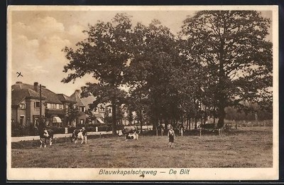 Ansichtskarte De Bilt, Blauwkapelscheweg 