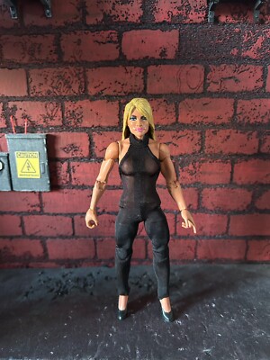 WWE Elite Custom Figure Sable Mattel OOAK Monday Night Wars Rena Lesnar