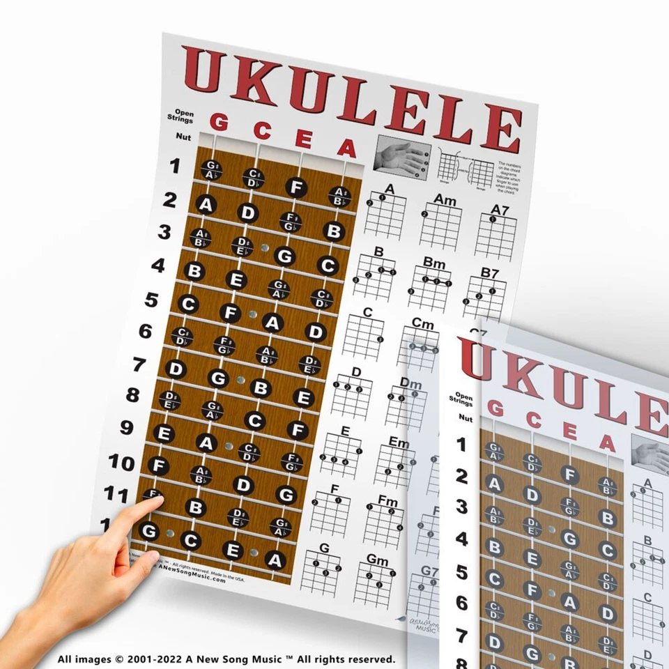 LAMINATED Ukulele Chord Chart Poster Chords Soprano Concert Tenor Beginner - Image 4 of 4
