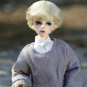 bjd doll boy
