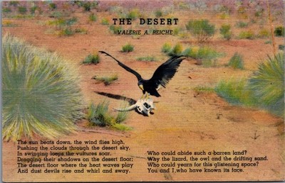 1948 THE DESERT Postcard Eagle Skull Poem Valerie Reiche Alamogordo NM