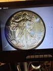 1942-P Silver Walking Liberty Half Dollar Nice Toning A6