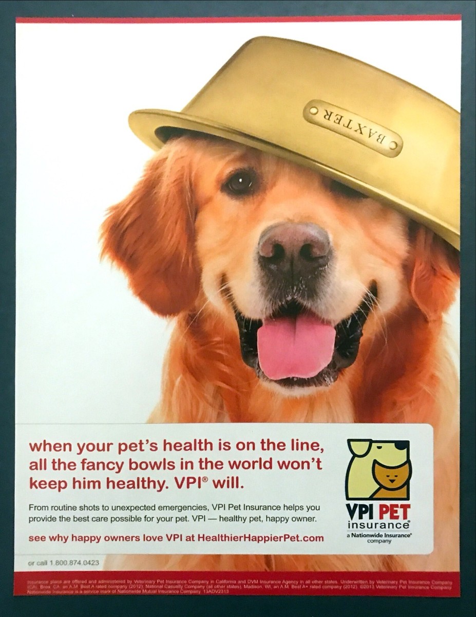2013 Golden Retriever Baxter with Food Dish on His Head photo VPI PET print  ad