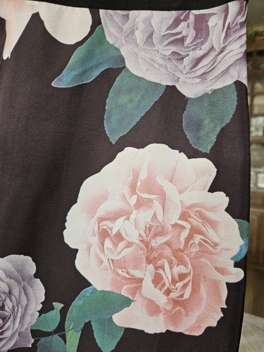ERIN- Erin Fetherston Size 2 Constance Rose Garden Evening Gown - STUNNING - Picture 7 of 15