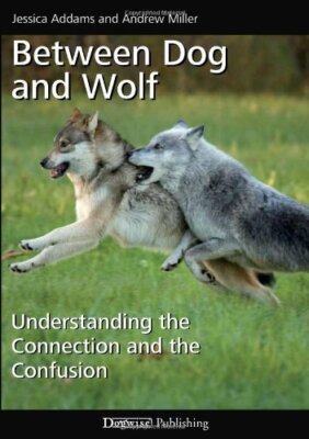 Between Dog and Wolf: Understanding the Connection and the Confu