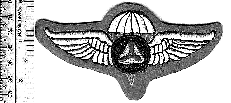 S Civil Air Patrol CAP Michigan Airborne Parachutist Wings NO TARIFF | eBay
