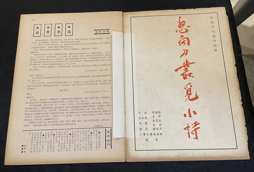 1970 Singapore literature magazine 奔流月刋 新加坡奔流月刋編輯部 - Picture 7 of 7