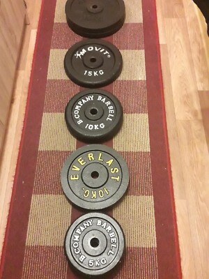 Gusseisen Hantelscheiben Everlast