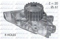 Dolz Wasserpumpe C124 FüR CitroËN Peugeot