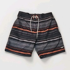 Speedo Swim Trunks Mens Size Large Lined Shorts Striped Gray 7784224-047