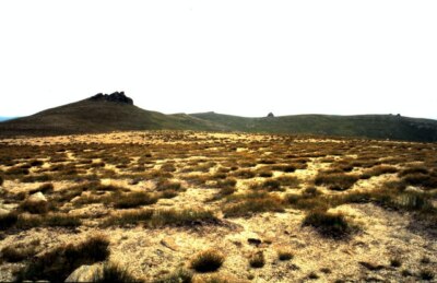 Foto 6x4 Gipfelplateau der Ben Avon Grampian Mountains\/NJ1201 Photo sho c2001
