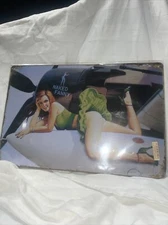 metal sign pinup beauty on airplane wing- naked Fanny. Perfect For The Man Cave