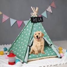 Pet tent bed