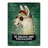 Die Coolsten Lamas Werden Im Mai Geboren Metallschild XXL Schild Blechschild