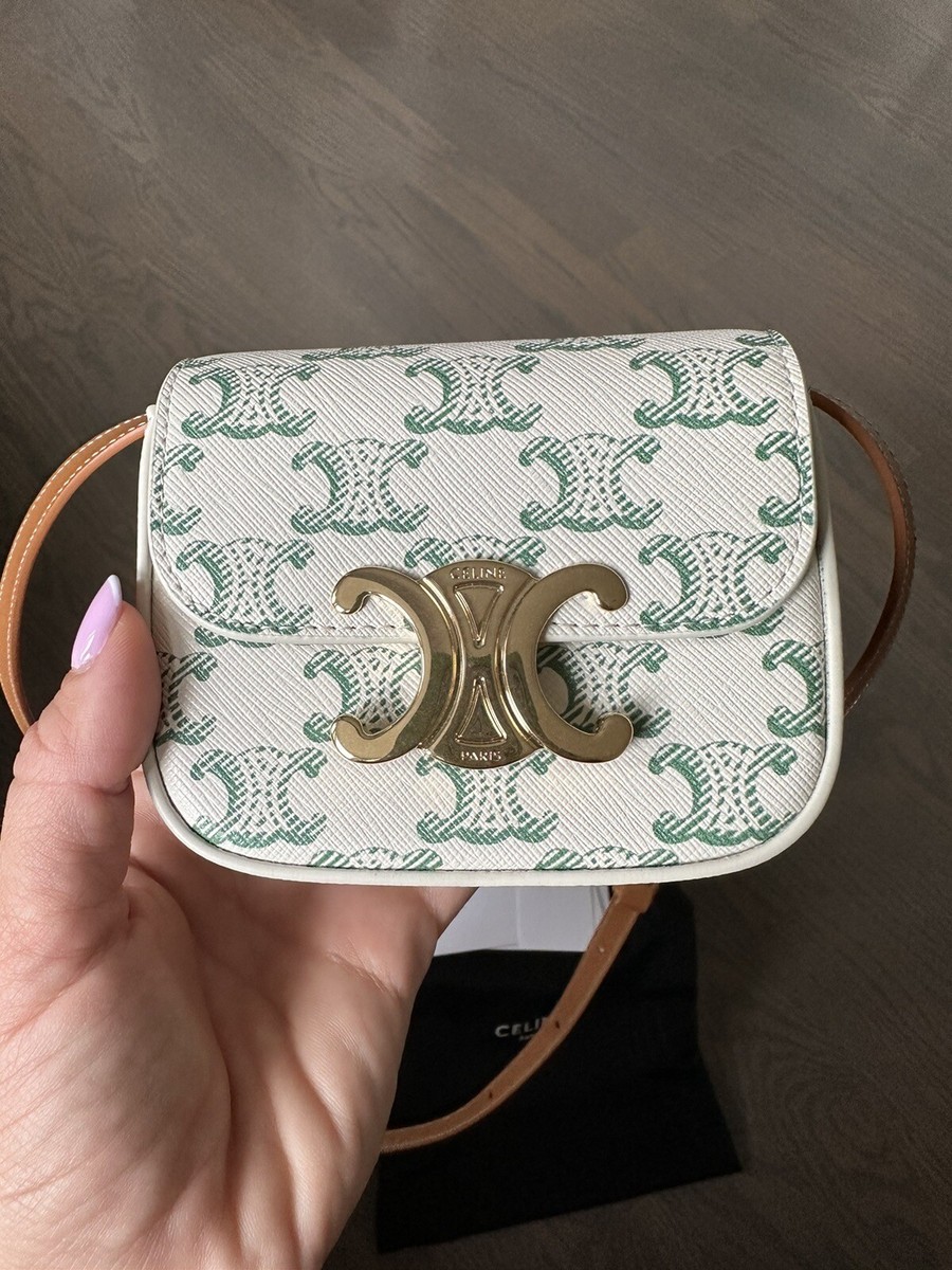 small camera bag in triomphe canvas