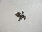 <!--F#f_0-->12 NEW STAINLESS MOULD MOULDING STRIP CLIPS CLIP SCREWS FOR EJ EH HD HR HOLDEN<!--F/-->