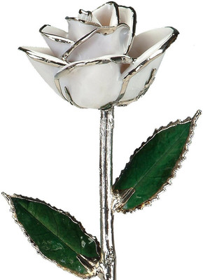 Gorgeous 11'' Platinum Dipped Real Rose - Snow White Elegance