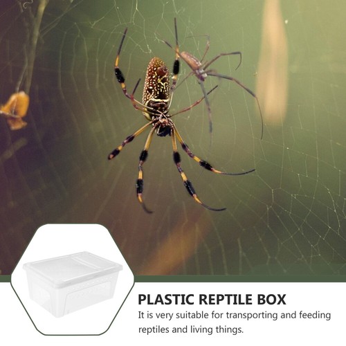 Petit habitat remise plastique habitat tortue aquarium terrariums plastique