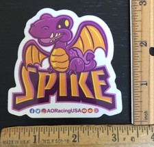 IMSA Rolex 2025 24 Hours At Daytona 99 AO Racing Spike The Dragon Decal Sticker