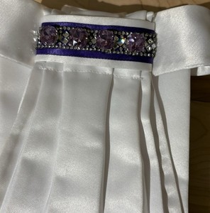 Dressage Stock Tie Purple Crystals