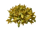 Pakalana Hand Painted Yellow Green Clay Beads for Jewelry Making Craft Supplies