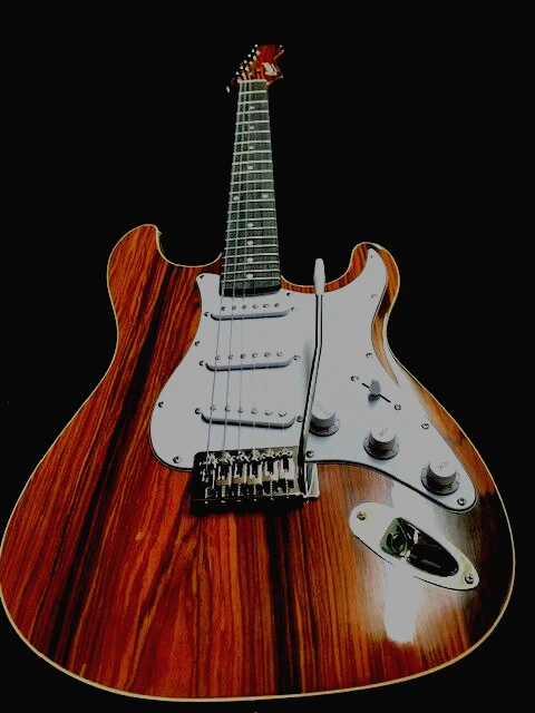 NUEVA GUITARRA ELÉCTRICA SÓLIDA EXÓTICA SANTOS PALISANDRO SUPERIOR 6 CUERDAS VINTAGE ESTILO ST Foto 3 de 4