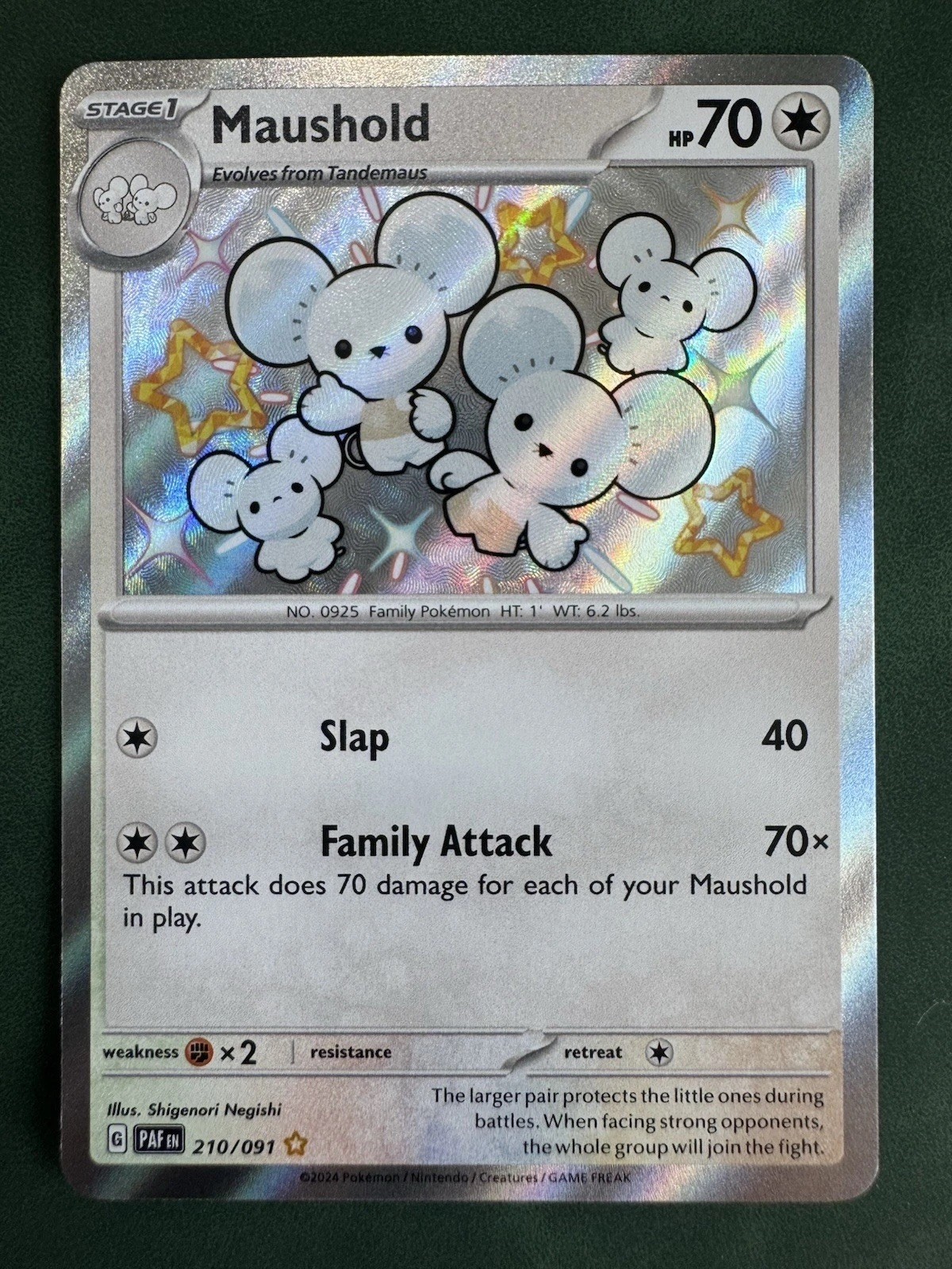 Tandemaus 209/091 Pokémon TCG Paldean Fates Shiny Rare Holo Card M/Nm Condition